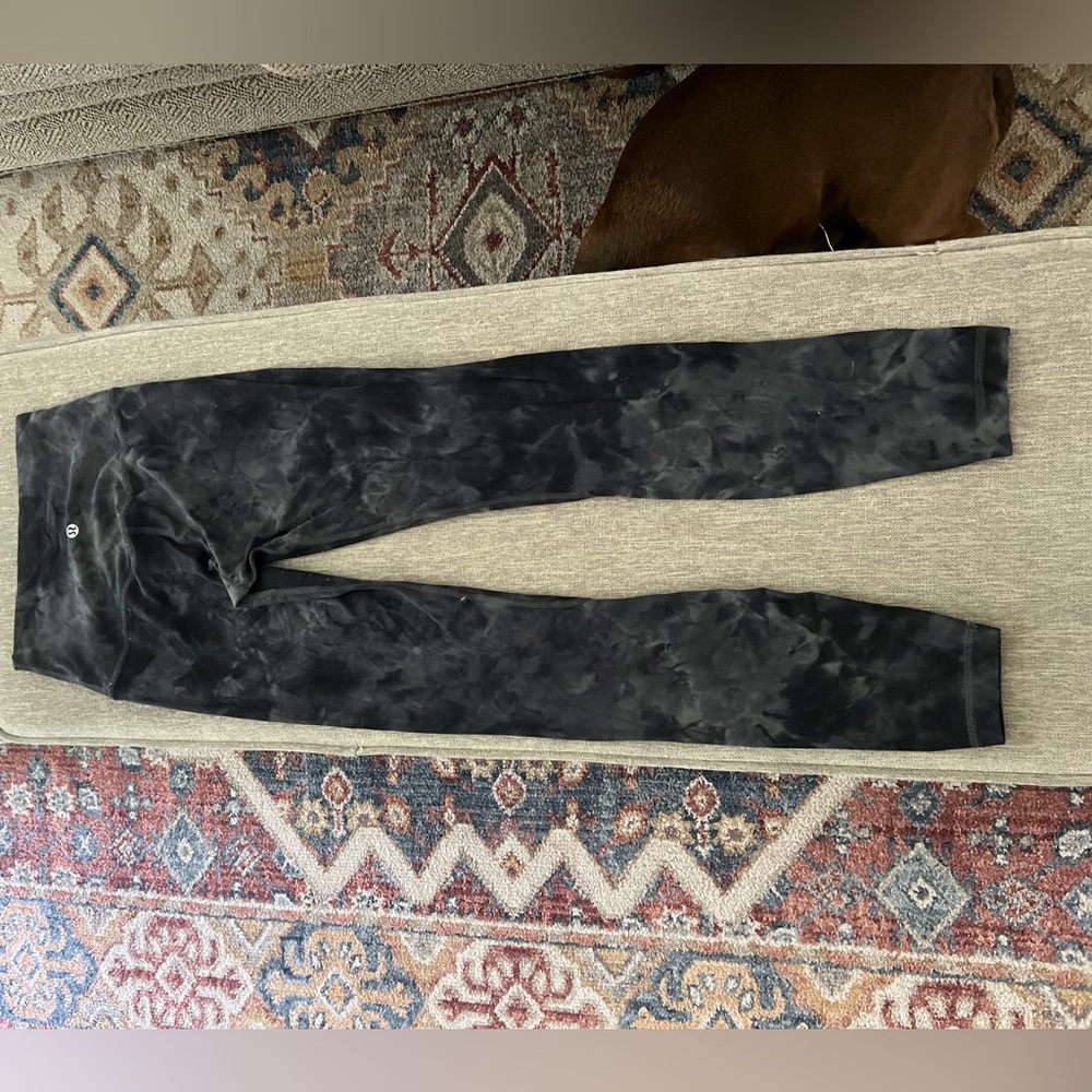 Wunder Train High-Rise Size 2